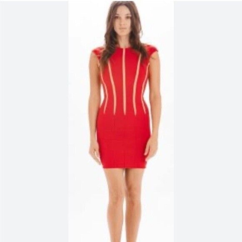 Torn by Ronny Kobo Delfina Mesh Inset Red Dress Sz Small